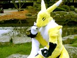 Cosplay-Cover: Renamon