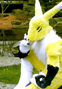 Cosplay-Cover: Renamon