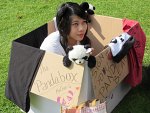 Cosplay-Cover: Surprise Pandabear Cardboard box