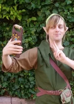 Cosplay-Cover: Link (Wildnis Rüstung)