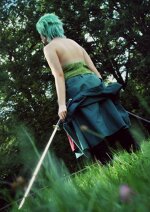 Cosplay-Cover: Roronoa Zoro [2 years later]