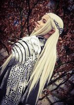 Cosplay-Cover: Thranduil