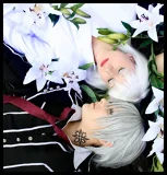 Top-3-Foto - von chiisaiSaku