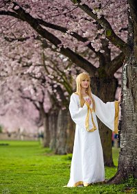 Cosplay-Cover: Prinzessin Anna