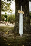 Foto des Kostüms