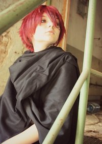 Cosplay-Cover: Erzengel Michael (netzoberteil+umhang)