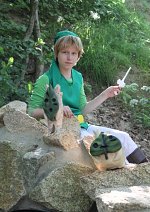 Cosplay-Cover: Link [WW-Version]