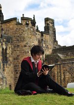 Cosplay-Cover: Harry James Potter