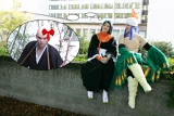 Top-3-Foto - von Juka