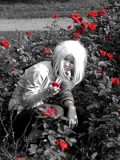 Top-3-Foto - von Sery_SK