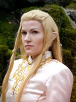Cosplay-Cover: Glorfindel