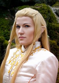 Cosplay-Cover: Glorfindel