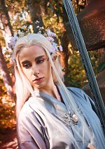 Cosplay-Cover: Thranduil [Japanese Spring]