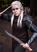 Cosplay-Cover: Legolas (Mirkwood)