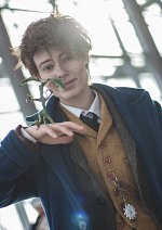 Cosplay-Cover: Newt A. F. Scamander