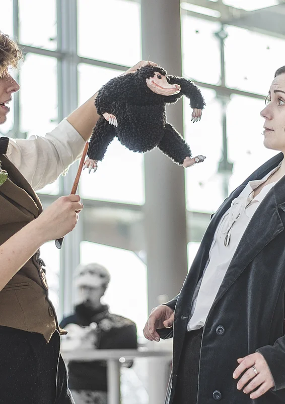 Cosplay-Cover: Newt Scamander