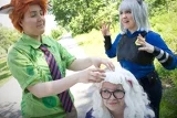 Top-3-Foto - von SakuraHaruno