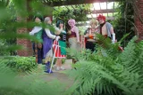 Top-3-Foto - von SakuraHaruno