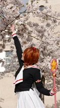 Cosplay-Cover: Sakura Kinomoto