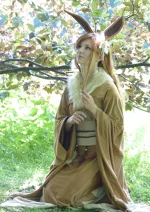 Cosplay-Cover: Evoli (Gijinka)