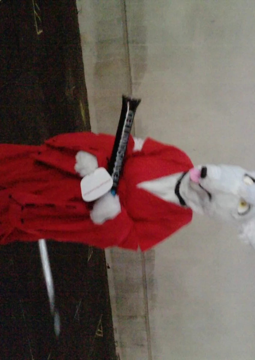 Cosplay-Cover: Inuyasha - Fanart ( Hunde-Anthro )