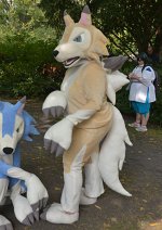 Cosplay-Cover: Lycanroc Day