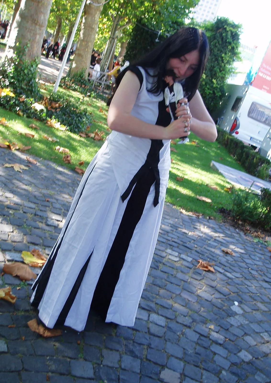 Cosplay-Cover: Blättertanz