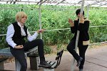 Cosplay-Cover: Shizuo Heiwajima