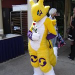 Cosplay: Renamon