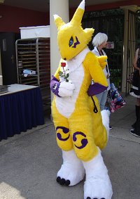 Cosplay-Cover: Renamon