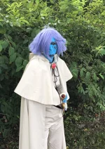 Cosplay-Cover: Zelgadis Greywords