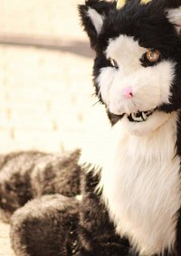 Cosplay-Cover: Kuro - 黒 (Cat Sith/Sidhe)