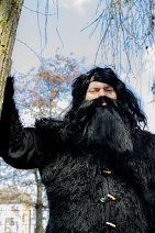 Cosplay-Cover: Beorn