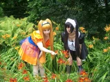 Top-3-Foto - von Kaito