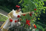 Top-3-Foto - von Serenity-Hime