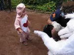 Foto des Kostüms
