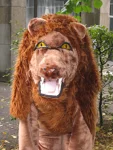 Foto des Kostüms