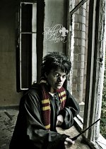 Cosplay-Cover: Harry Potter (Schuluniform)