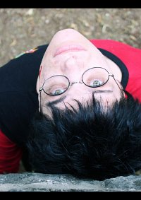 Cosplay-Cover: Harry Potter (Trimagische Turnier -3te Aufgabe)