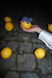 Top-3-Foto - von Ophelias-Ende