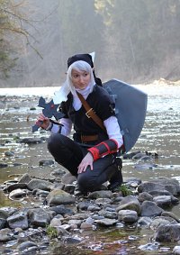 Cosplay-Cover: Dark Link