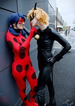 Cosplay-Cover: Chat Noir / Cat Noir