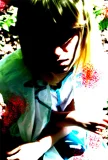 Top-3-Foto - von Suzuran
