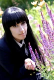 Top-3-Foto - von Suzuran
