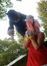 Cosplay-Cover: Sonic the Werhog