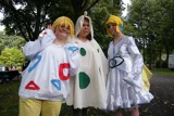Top-3-Foto - von Seny