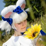 Top-3-Foto - von Seny