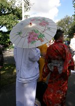 Cosplay-Cover: Drachen Geisha