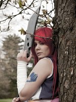 Cosplay-Cover: Erza Scarlet [Robe of Yūen]