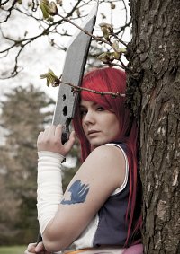 Cosplay-Cover: Erza Scarlet [Robe of Yūen]